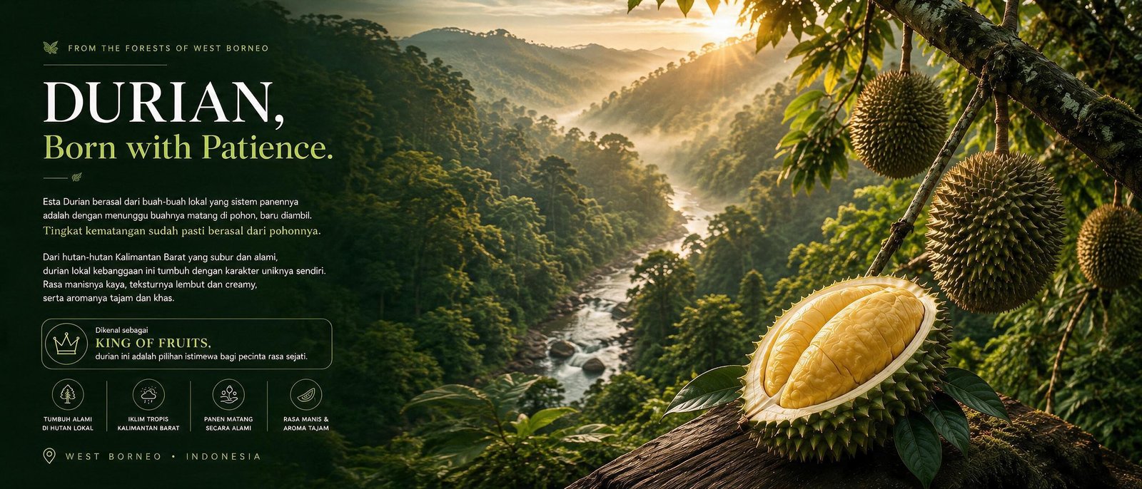 ESTA Durian story from West Borneo