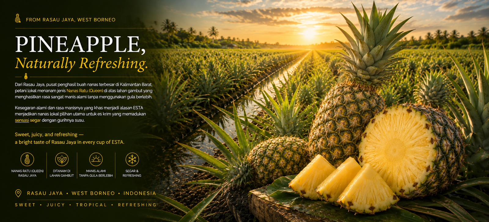ESTA Pineapple story from Rasau Jaya, West Borneo